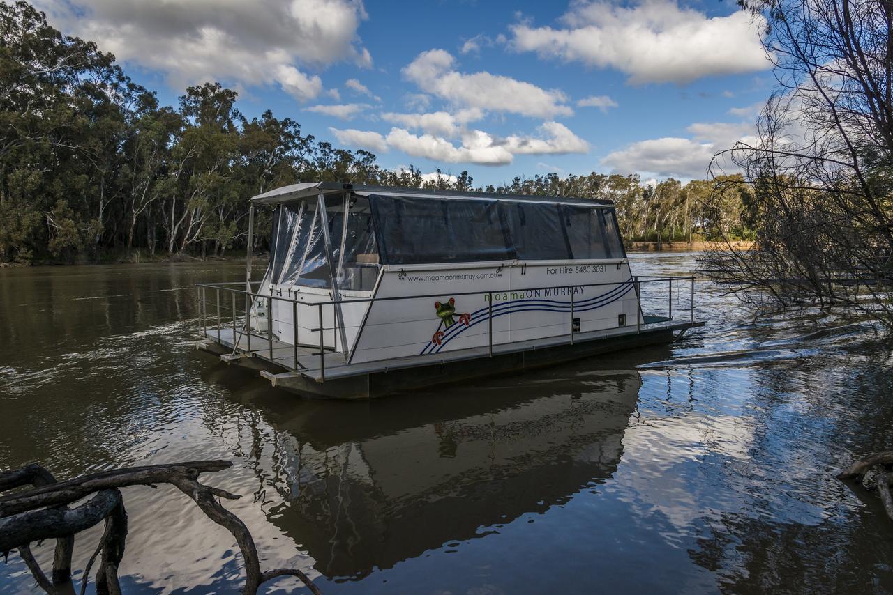 Moama On Murray Houseboats Extérieur photo